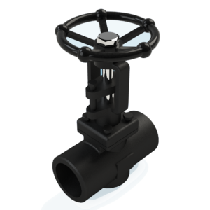 505F Globe Valve