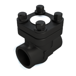 522F Check Valve